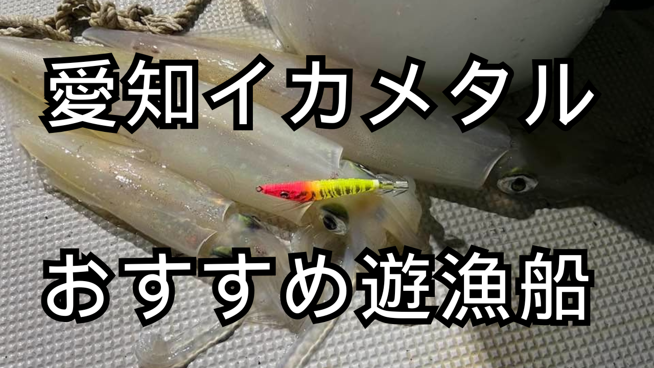 愛知でイカメタルができるおすすめ遊漁船５選！これで近場でも楽しめる？